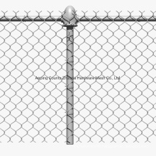 Mesh 50*50mm Low Price Galvanized Chain Link Fence Panel Amazon Popular